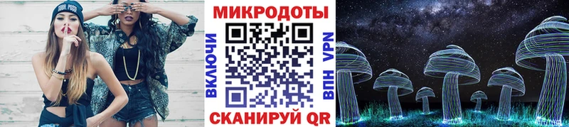 Псилоцибиновые грибы Psilocybine cubensis  Сковородино 
